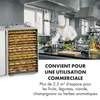 Déshydrateur alimentaire professionnel 