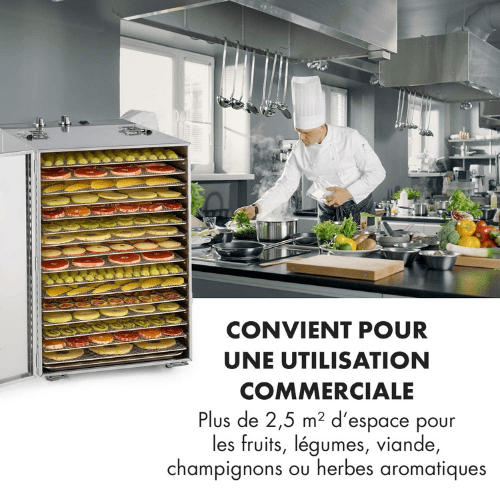 Déshydrateur alimentaire professionnel 